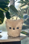 Sml Pomeranian, Handwoven Puppy Pot