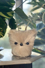 Sml Pomeranian, Handwoven Puppy Pot