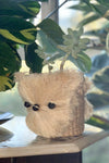Sml Pomeranian, Handwoven Puppy Pot