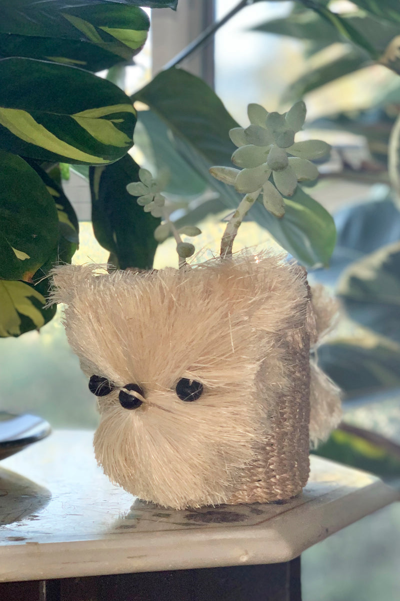 Sml Pomeranian, Handwoven Puppy Pot