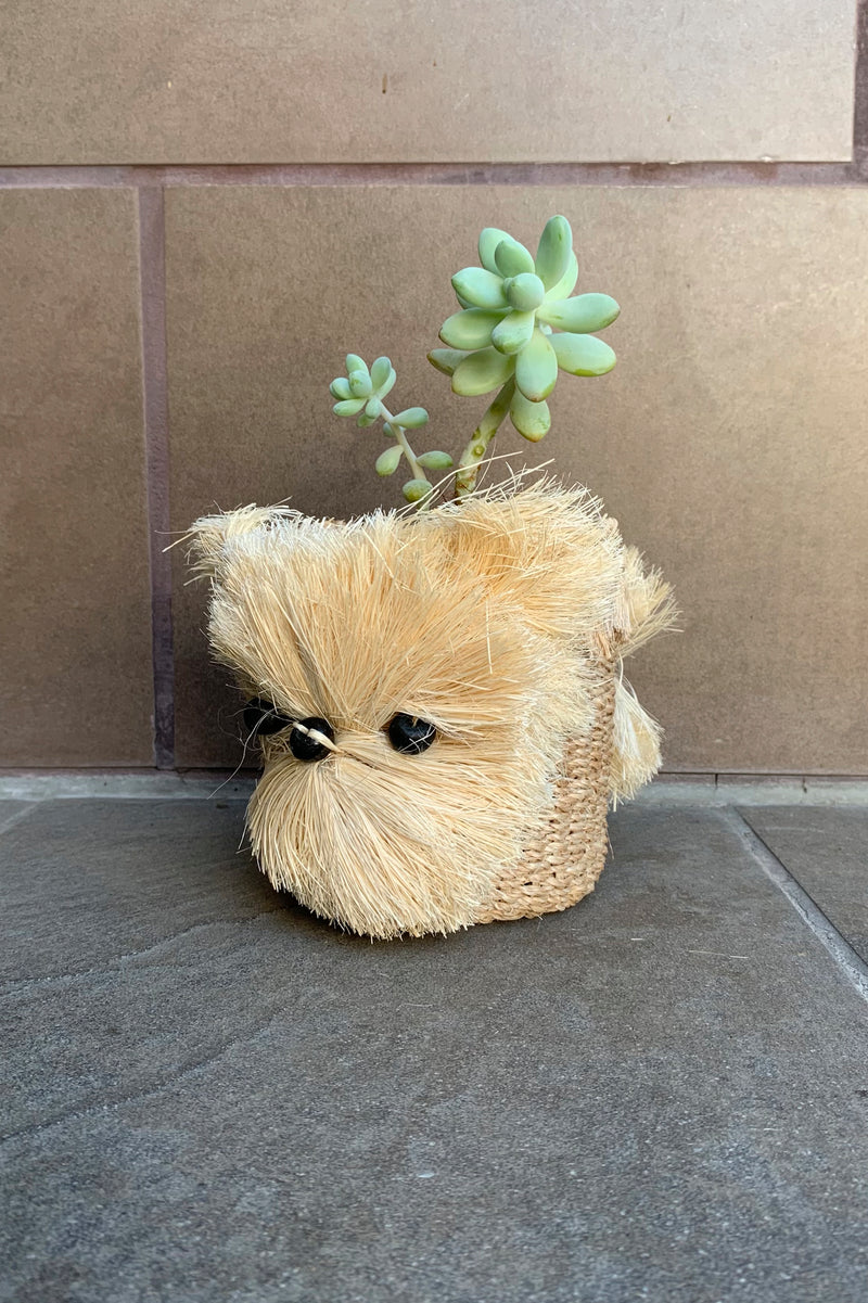Sml Pomeranian, Handwoven Puppy Pot